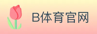 B体育官网 logo